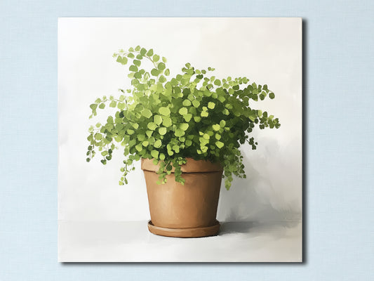 Adiantum